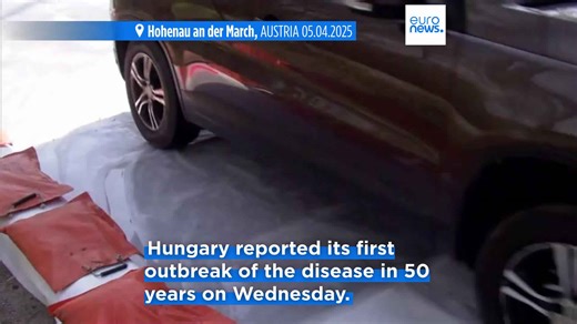 Austria shuts dozens of border crossings with Hungary and Slovakia due to foot-and-mouth outbreak