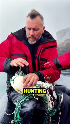 This Bird Couldn’t Move… Then They Found a Whole Fishing Net Wrapped Around Her 😳