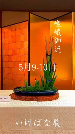 第144回献華祭奉祝【 嵯峨御流 いけばな展】　5月9日(土)10:00～16:00・10日(日)10:00～16:00社務所2階（参集殿）観覧無料#いけばな　#嵯峨御流 #flower #菖蒲 #iris Ikebana ExhibitionFree AdmissionJapanese CraftsmanshipMinatogawa Shrine, KobeCome and join us!