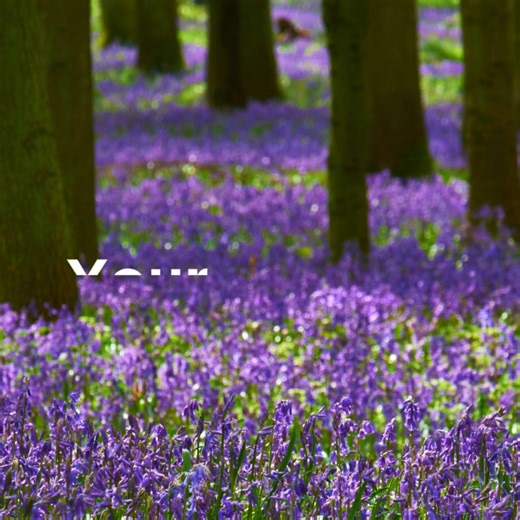 25 reactions |  Durham alumni, it’s time to make your mark! As a...