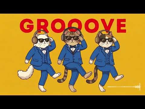 Groove Cats Trio 😎 Stylish Jazzhop Beats for Deep Focus & Work | Steer Your Day