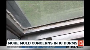 IU Bloomington works to clean up mold in nearly 300 dorm rooms