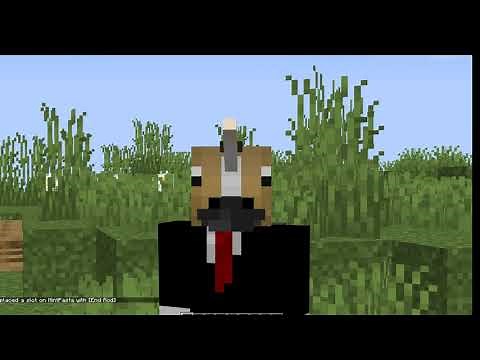 how to become a unicorn in minecraft (Working 1.16, 100% Vanilla Minecraft)