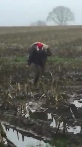 Cały czas śledzimy losy Mikołaja w tę niesprzyjającą do podróżowania pogodę. Lekko nie jest | Apex Clan