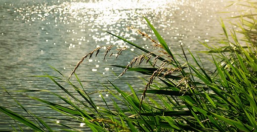 Qui prélève et consomme l’eau en France ? | Centre d'information sur l'eau
