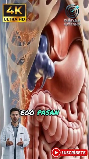 🧠 El Viaje del Alimento: Así Funciona Tu Sistema Digestivo #curiosidades #sabiasque #salud