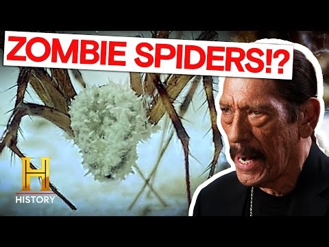 A Terrifying Discovery in the Dark (S2) | Mysteries Unearthed with Danny Trejo