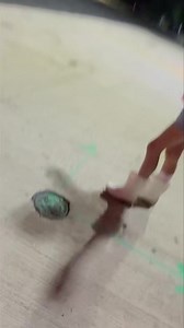 Gona need a lot more detangler after this week of NE winds 😂😂❤️ | Decatur's Crabs