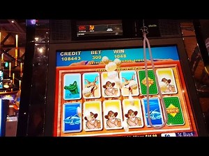 Going for 11th Major Jackpot on Outback Jack slot machine pokie! *Max bet big win* *Card features*