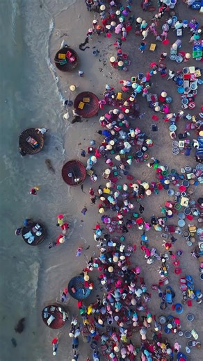 15K views · 266 reactions | Vietnamese fish market at 5-6 am in the...