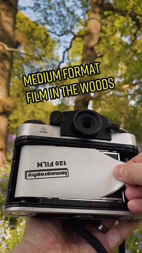 Exploring the Woods with Lomochrome Purple Film on Kiev 6C