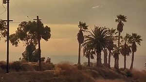 Indecent Proposal (1993) (TD) XA XS 111111