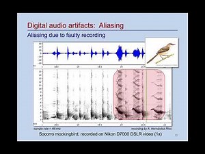 Digital audio artifacts 2 - Aliasing