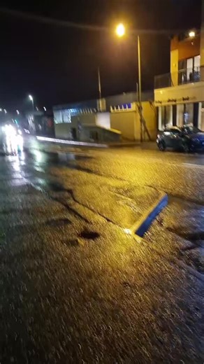 Exploring the Fun Side of Piglets in Shetland