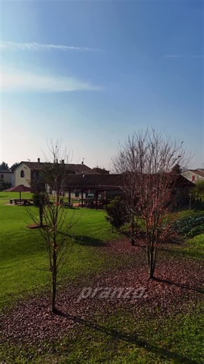 Agriturismo Bassanine 🍽 Ambra on Instagram: "🎄 Natale, Brunch, San Silvestro e Magia per Bambini! ✨ Alle Bassanine ci prepariamo a vivere insieme a voi un finale d’anno speciale, fatto di gusti autentici, atmosfera familiare ed eventi per grandi e piccini! ❤️ 🍽️ Ecco cosa vi aspetta: 📅 23 novembre – Brunch a buffet dolce e salato dalle 09:30 alle 12:00 🎅 13 dicembre- Animazione natalizia per bambini con gadget, giochi e merenda 🎄 25 dicembre – Pranzo di Natale in famiglia con un menù ricco