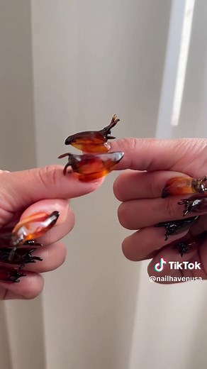 Stunning 3D Slug Nail Art Collection Revealed