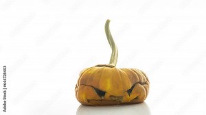 Jack mask on white background rotting in time lapse, rotting pumpkin, mold germination in pumpkin 4k video