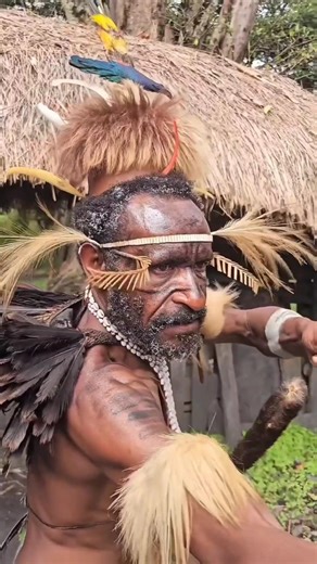 How Tribal People Make Deadly Reed Arrows in the Jungle 🌿🏹