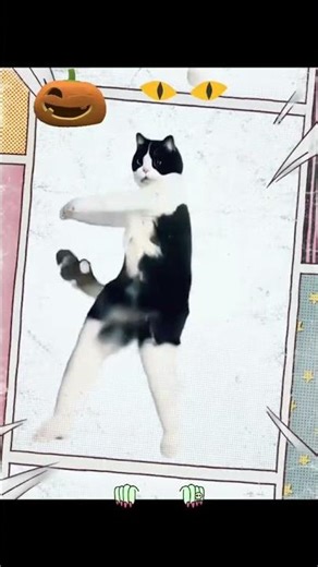 The Scariest Cat Dance Ever! #toofunny#dancingcat#catdancing#halloweendance