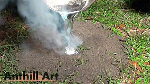 5.3K views · 163 reactions | Casting a Field Ant Colony with Molten Aluminum. Anthill Art Cast #071, 10.4 lb, 13.5” deep. This is the same type of ant that was in the infamous stump cast. #anthillart | Anthill Art | Facebook