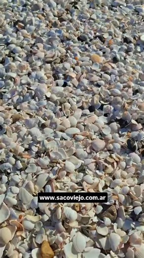 Las Conchillas | San Antonio Éste | Punta Perdices on Instagram: "PROMO VERANO!!!!! Punta perdices & Las conchillas ALQUILERES en Saco viejo. www.sacoviejo.com.ar WSP 011 15-3083-6171 #sacoviejo #lasconchillas #puntaperdices #caribepatagonico #sanantonioeste"