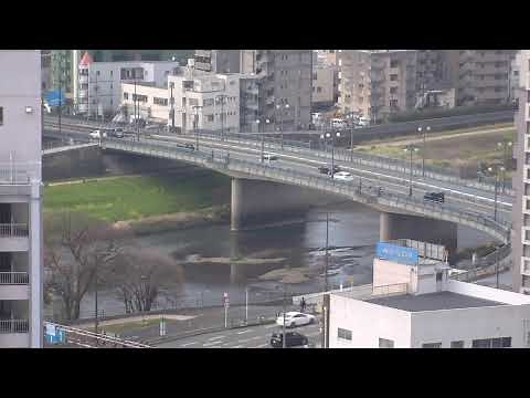 熊本市内 白川ライブカメラ