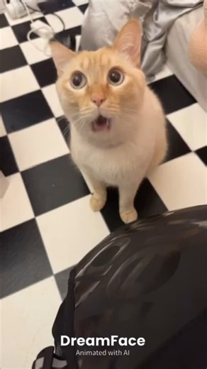 リンダカラー∞ りなぴっぴ on Instagram: "Lovely baby ;) おかあさんから送られてきた😂❣️ #lionel"