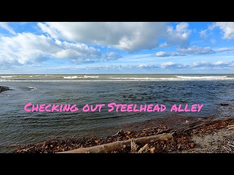 Checking out Elk Creek and Trout run Erie Pa, Loads of steelhead!