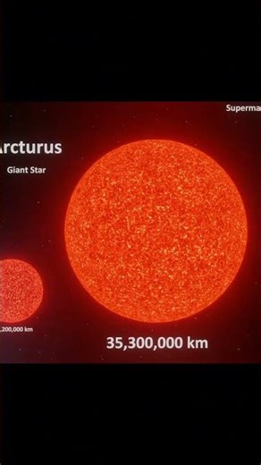 Universe Size Comparison🌍✨