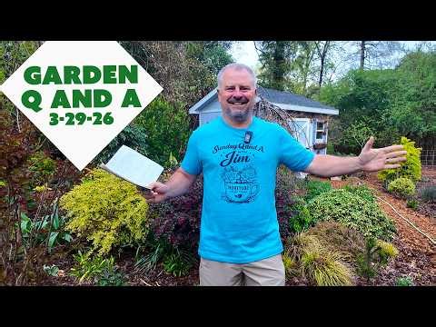 Poisonous Plants and Dogs, New Shirt!, Compacted Soil, Raised Beds - Garden Question and Answer