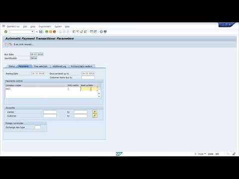 F110 - Automatic Payment run in SAP