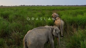 Heute Abend ein letztes Mal bei Terra X, ab morgen dann in voller Länge auf DVD und Blu-ray: "PLANET ERDE II: eine erde - viele welten". | Dokuversum