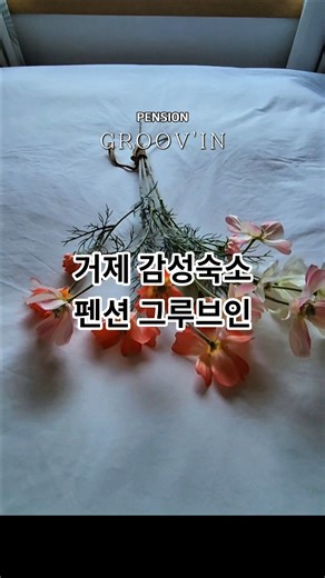 거제 감성 숙소 펜션 그루브인 #거제도여행 #여행 #거제볼거리 #매미성 #거제도