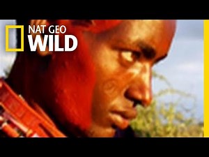 Warrior Initiation | Big Cat Week