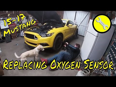 Replacing Oxygen Sensor on 15-17 Ford Mustang GT
