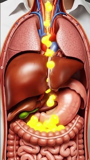What Happens When You Eat Too Many Sausages