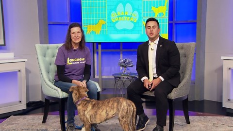 Petline 9: Meet Katara, a pup who loves to play