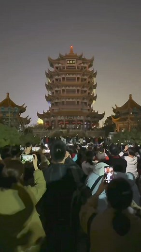 832 reactions · 74 shares | English/Português: A stunning cherry...