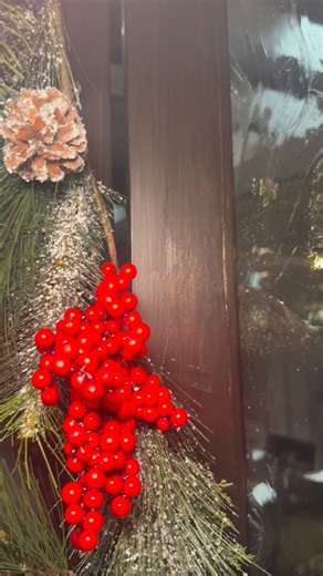 Vasilis is officially dressed for the holidays ✨🎄 From twinkling lights to cozy corners, the entire restaurant is glowing… the perfect backdrop for your seasonal gatherings. We’re open Christmas Eve for normal hours, so come enjoy the festive atmosphere, a beautiful meal, and a little Greek holiday warmth. #mdfoodie #dmvfoodie #gaithersburg | Vasili's Kitchen