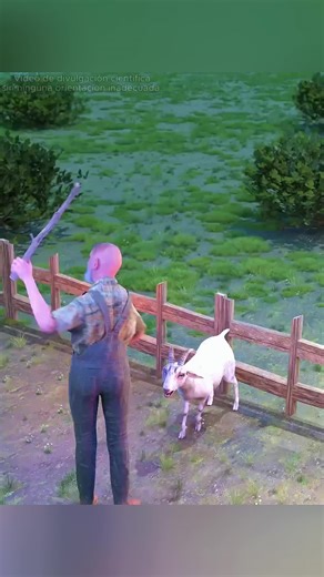 Explorando el Conocimiento Científico en Alemania