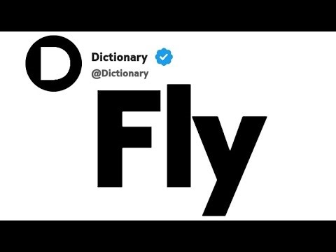 Fly Synonyms | Similar Words