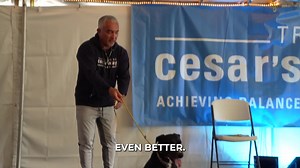 2.6K reactions · 340 shares | In this TCW demonstration, I teach you how to create boundaries around food with your dog. It is important to stay calm and confident as the pack leader. We will teach how to teach a dog how to ignore food on the floor. Once you master this you can teach your dog to ignore anything you want. Remember a dog learns nose, eyes, and ears! In that order. FULL LINK: https://youtu.be/N6lC8KJ3JW8 | Cesar Millan | Facebook