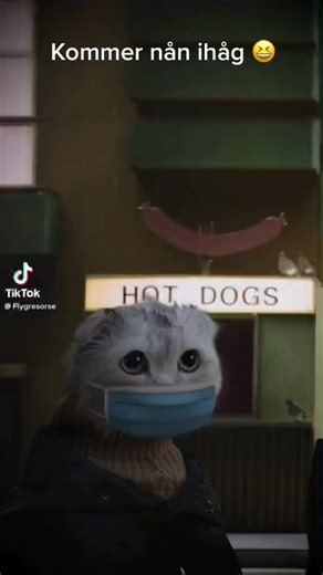 Nils_Fortnite (@nils_fortnite5)s videor med originalljud - Nils_Fortnite