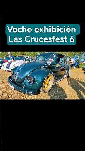 vocho espectacular de exhibición evento Las Crucesfest #vochos #volkswagen #exhibicion #modificado