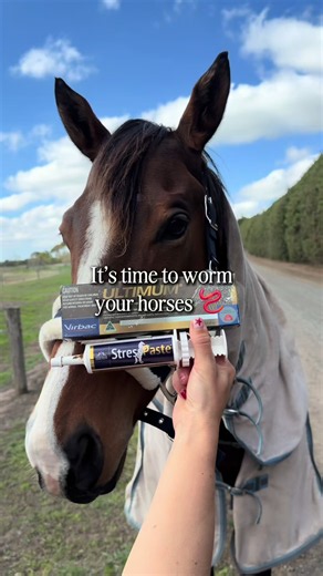 Autumn & Winter Horse Worming: Faecal Egg Count Virbac Ultimum Protocol