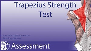 1.4K views · 24 reactions | SHOULDER ASSESSMENT SERIES PART 30: LOWER...