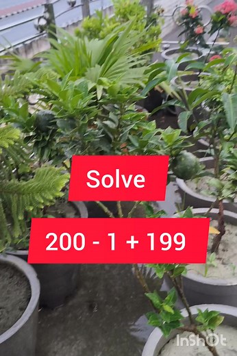 Basic Math Test Solution | M Mathematics