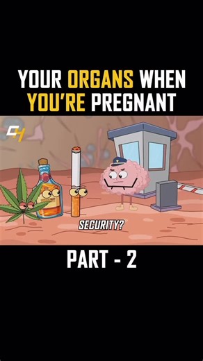 Dr. Galia (Galiia Dzhonboboeva) on Instagram: "Какие же происходят физиологические изменения в организме женщины во время беременности, по триместрам и по системам. Это важно для понимания, почему беременность - это не болезнь, а глубокая адаптация всех органов к вынашиванию и родам. Беременность — это гормонально управляемая перестройка организма, направленная на: • рост и развитие плода, • подготовку родовых путей, • адаптацию к повышенным метаболическим и сердечно-сосудистым нагрузкам. Основн