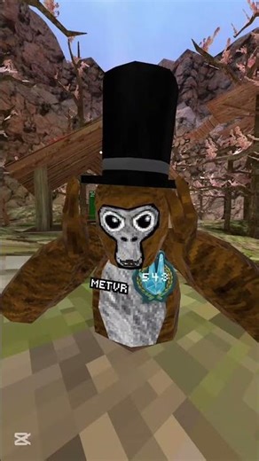 pov:how moving in VR feel's like