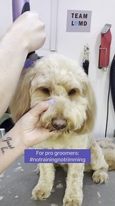 409K views · 2.6K reactions |  “You can’t do it like that!!!!” … oh...